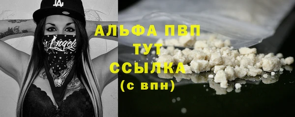 молекула духа Медвежьегорск