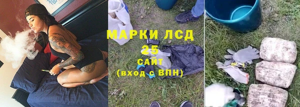 прущие крисы Надым