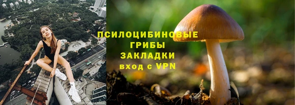 винт Мегион