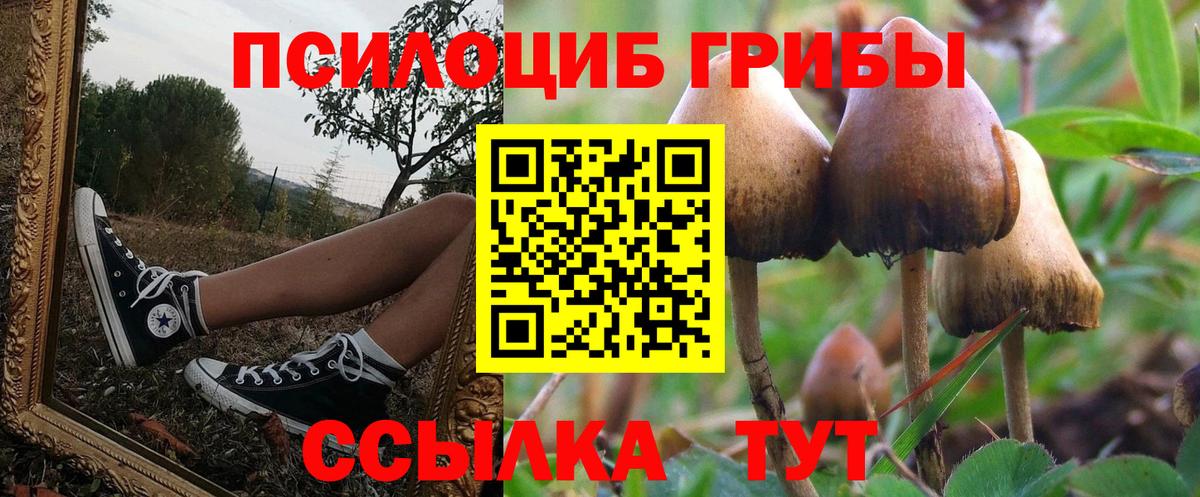 Псилоцибиновые грибы MAGIC MUSHROOMS  Челябинск 