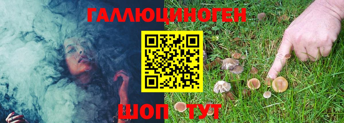Галлюциногенные грибы мухоморы Челябинск